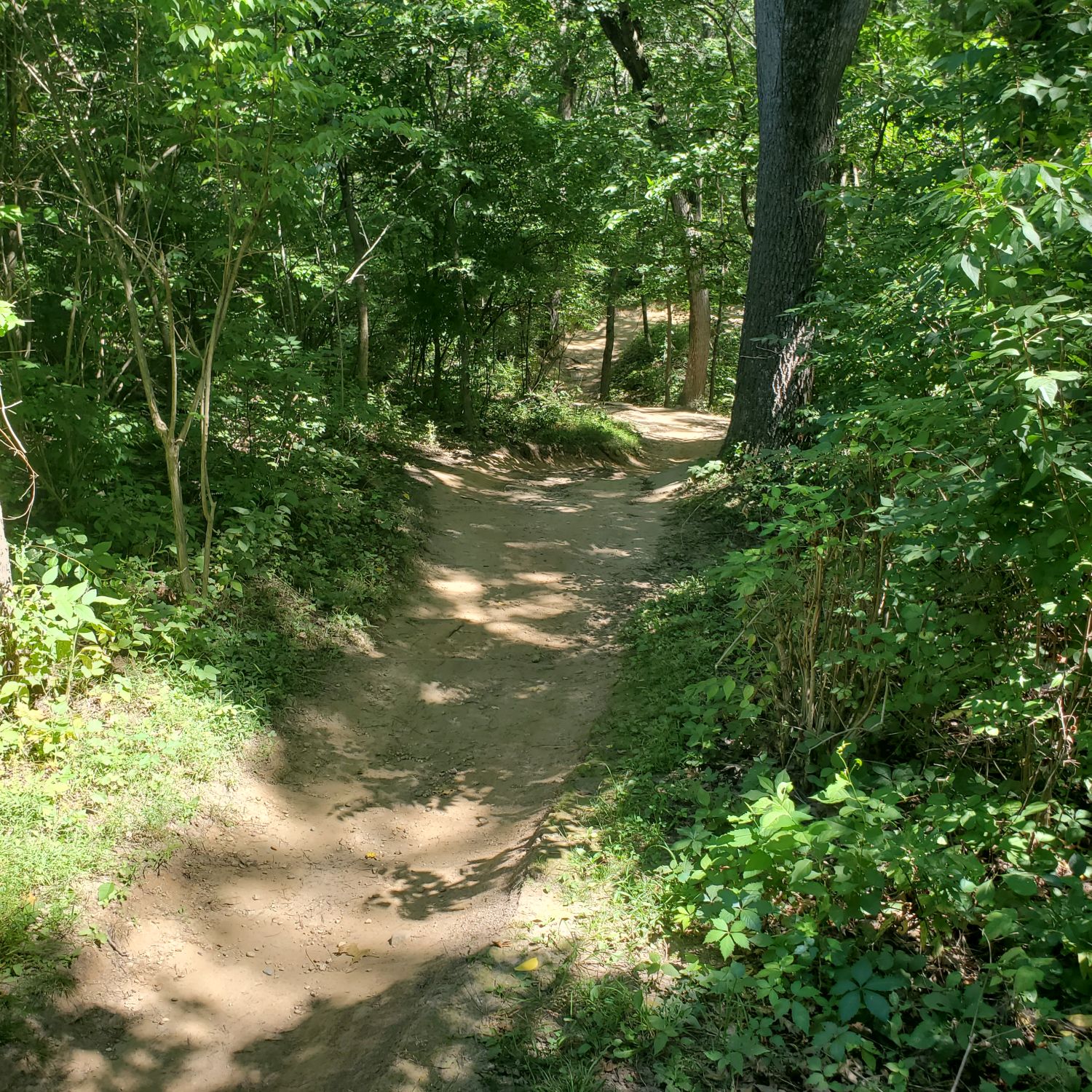 Orange Palos Trail 